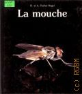 Fischer-Nagel A., La mouche  1990