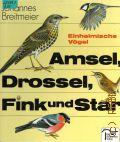 Breitmeier J., Amsel, Drossel, Fink und Star  cop.1991