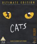 Cats  2013