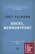 Ellmann L., Ducks, Newburyport  2019